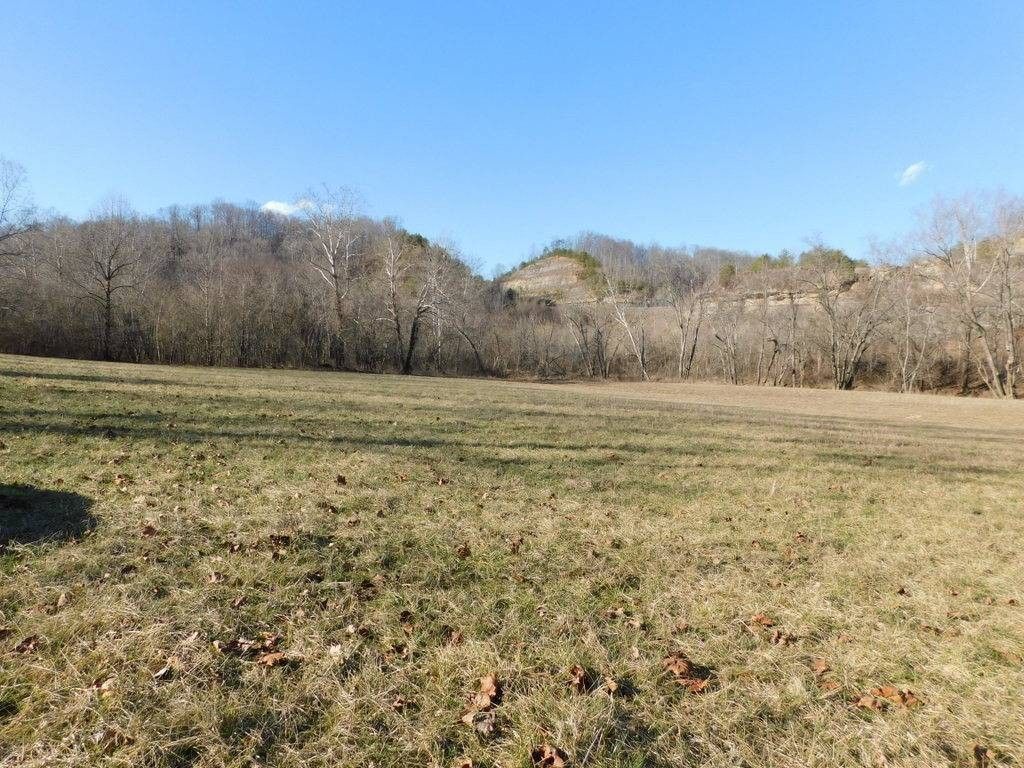 West Liberty, County, KY Farms and Ranches for sale Property ID