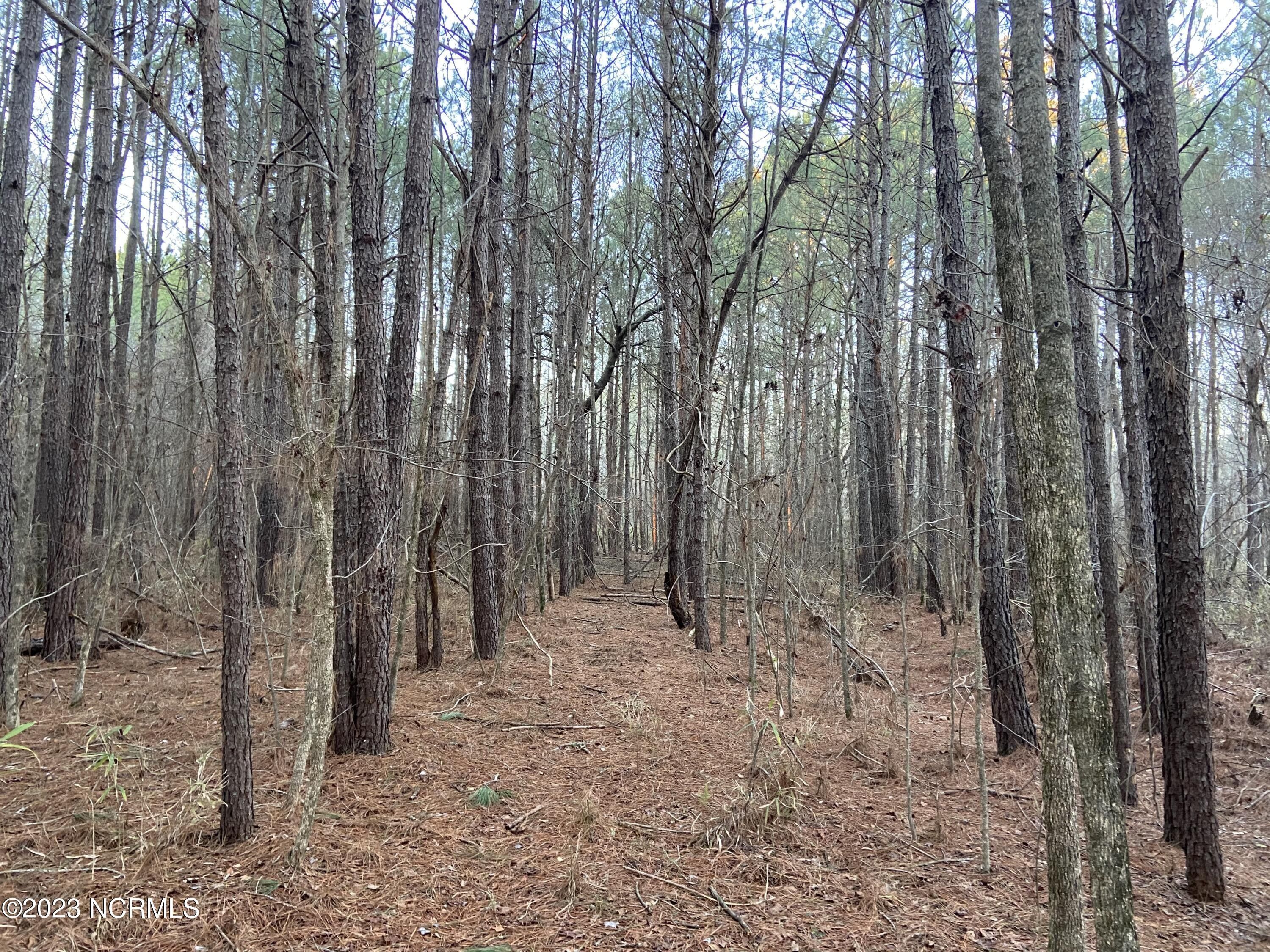 Rocky Mount, Nash County, NC Undeveloped Land for sale Property ID 415741379 LandWatch