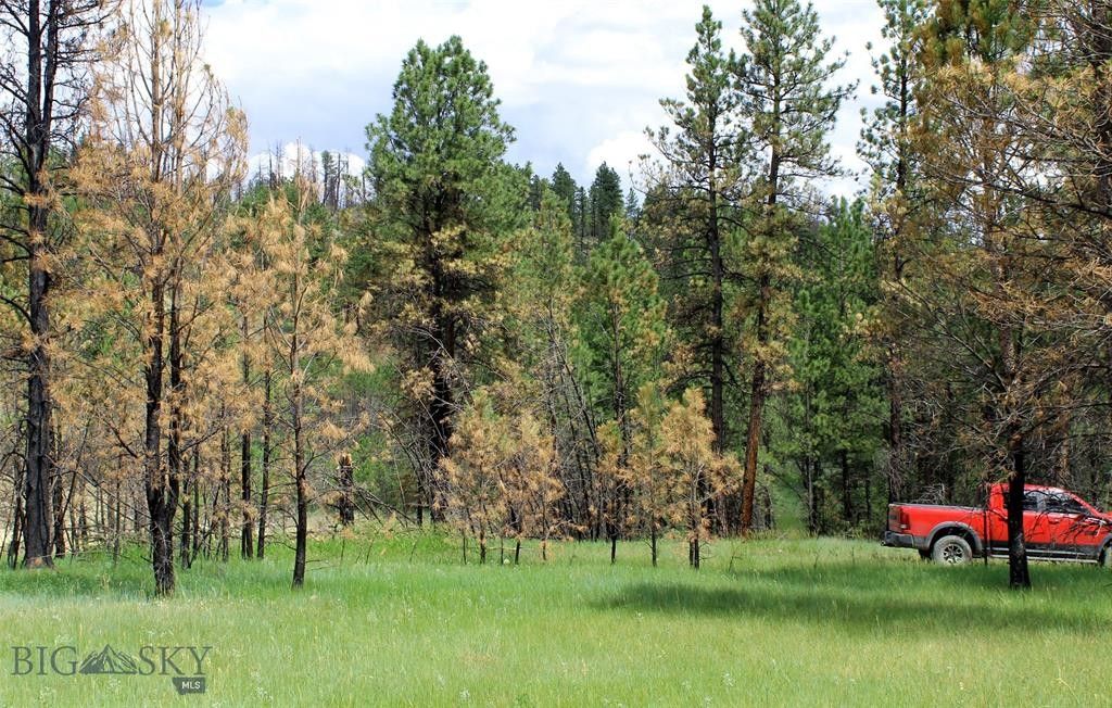 Roundup, Musselshell County, MT Undeveloped Land for sale Property ID