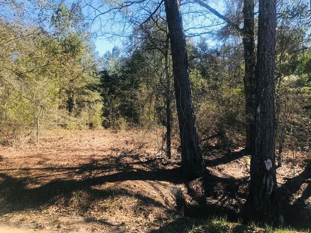 Houston County, AL Undeveloped Land, Lakefront Property