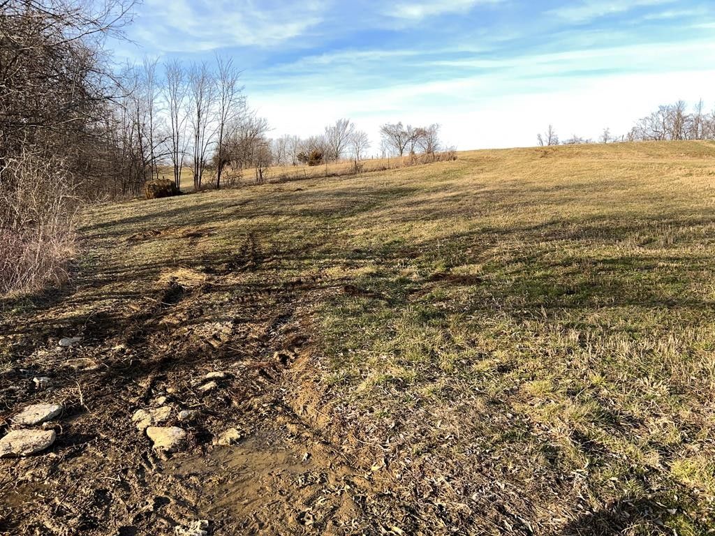 Ewing, Fleming County, KY Undeveloped Land for sale Property ID