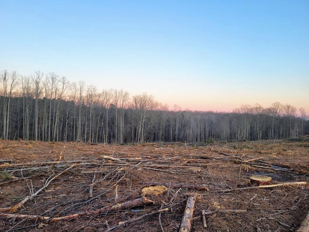 Nathalie, Halifax County, VA Undeveloped Land for sale Property ID