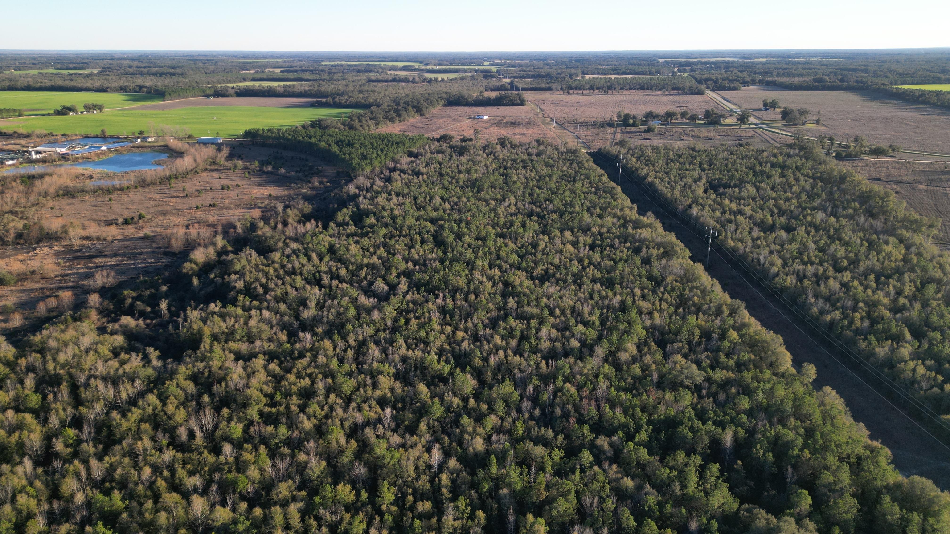 Jackson County, FL Recreational Property, Hunting Property for