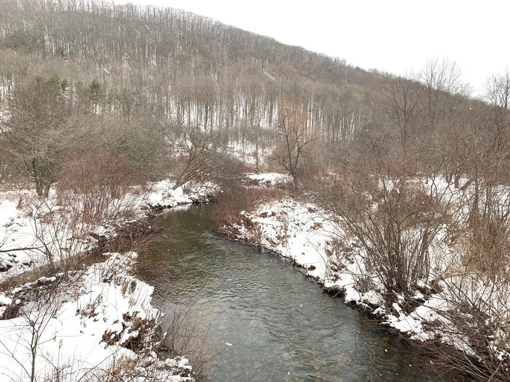 Smethport, McKean County, PA Undeveloped Land for sale Property ID