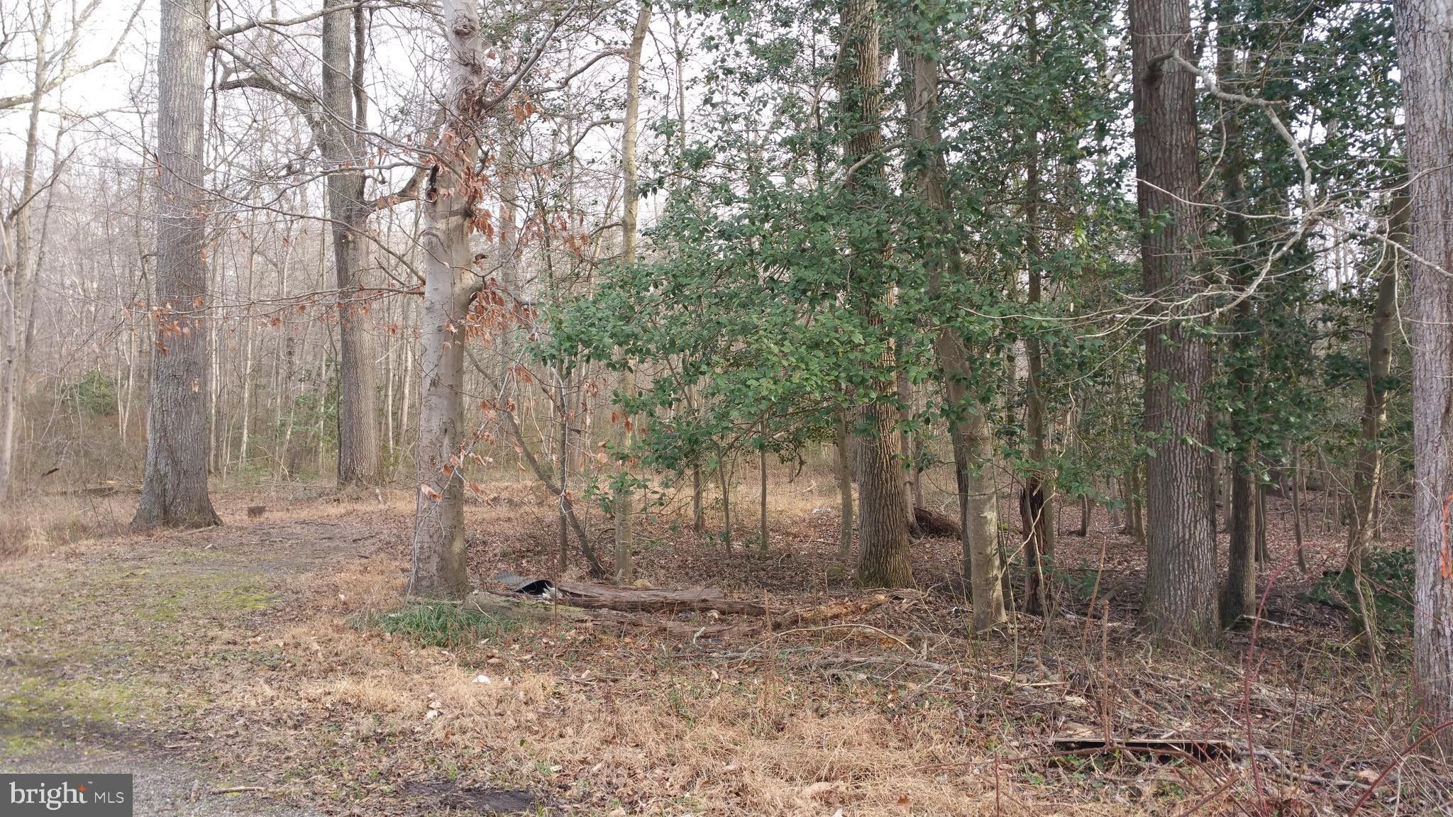 Lorton, Fairfax County, VA Undeveloped Land, Homesites for sale