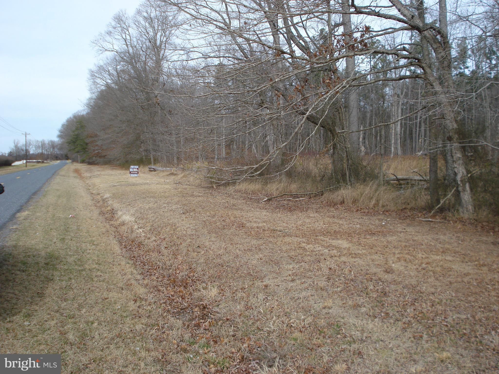 Marydel, Queen Annes County, MD Undeveloped Land for sale Property ID