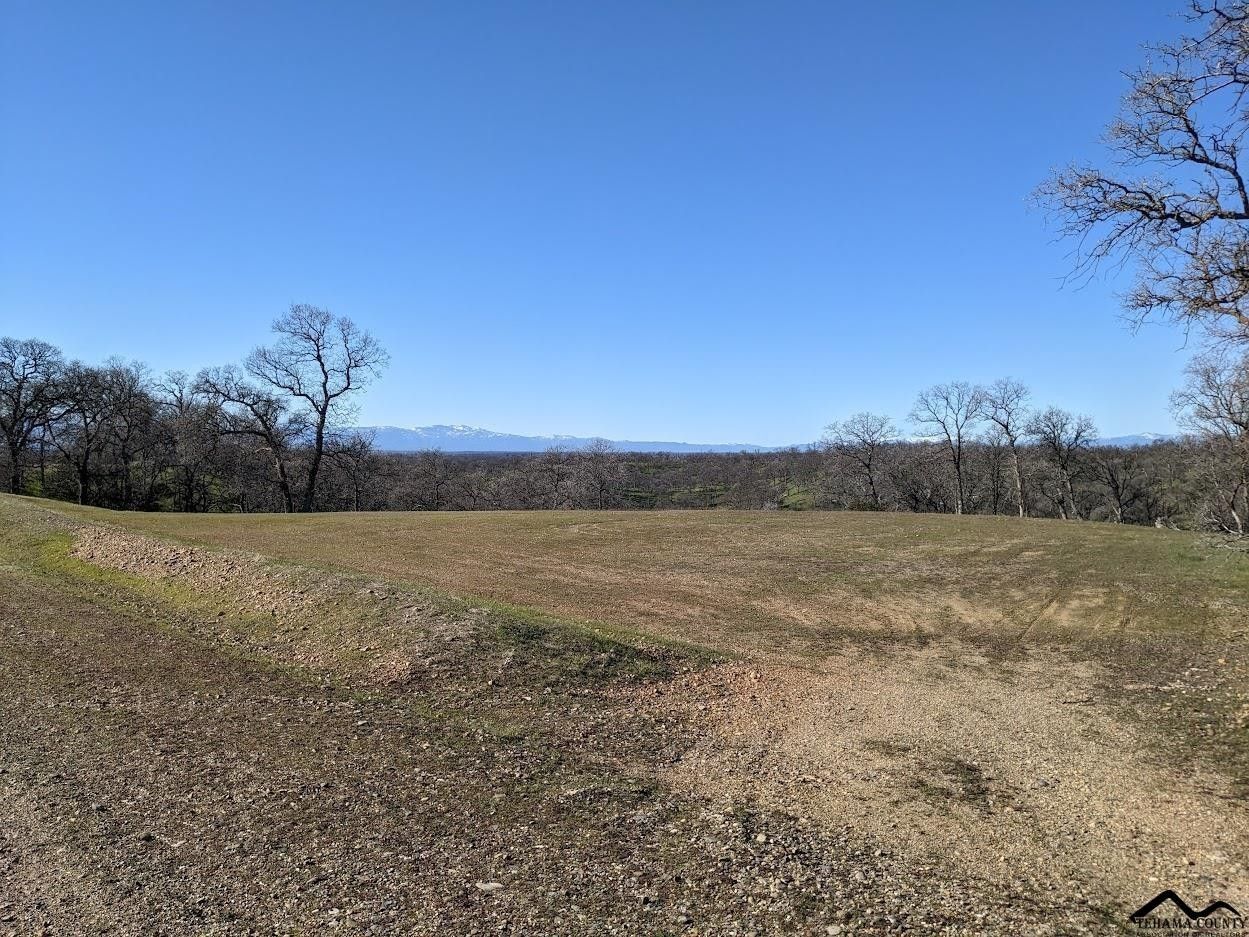 Red Bluff, Tehama County, CA Undeveloped Land for sale Property ID