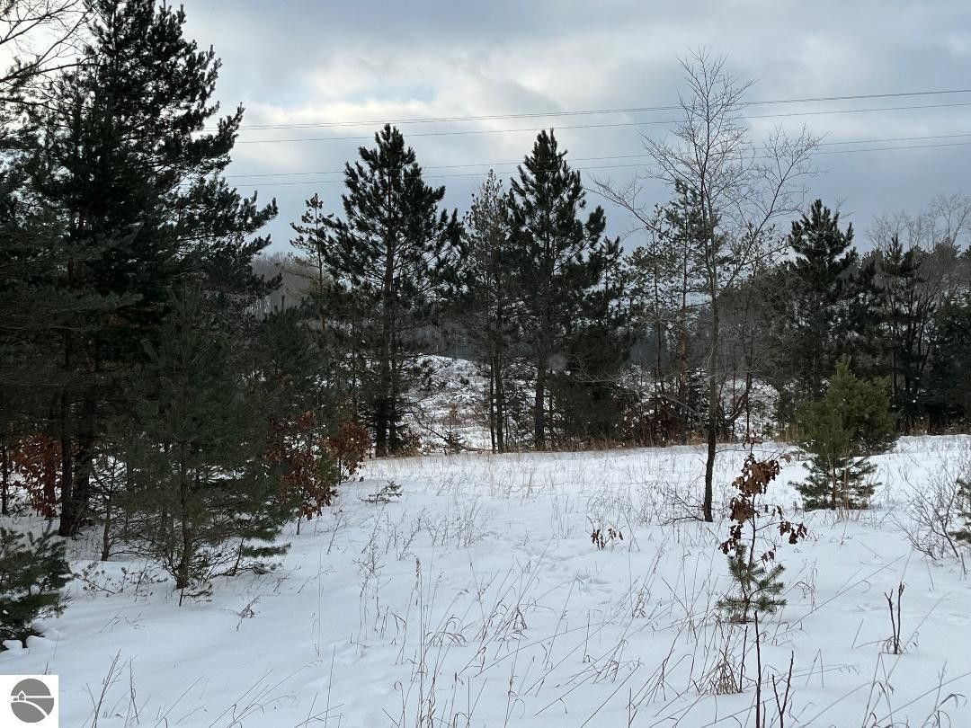 Mesick, Wexford County, MI Undeveloped Land, Lakefront Property