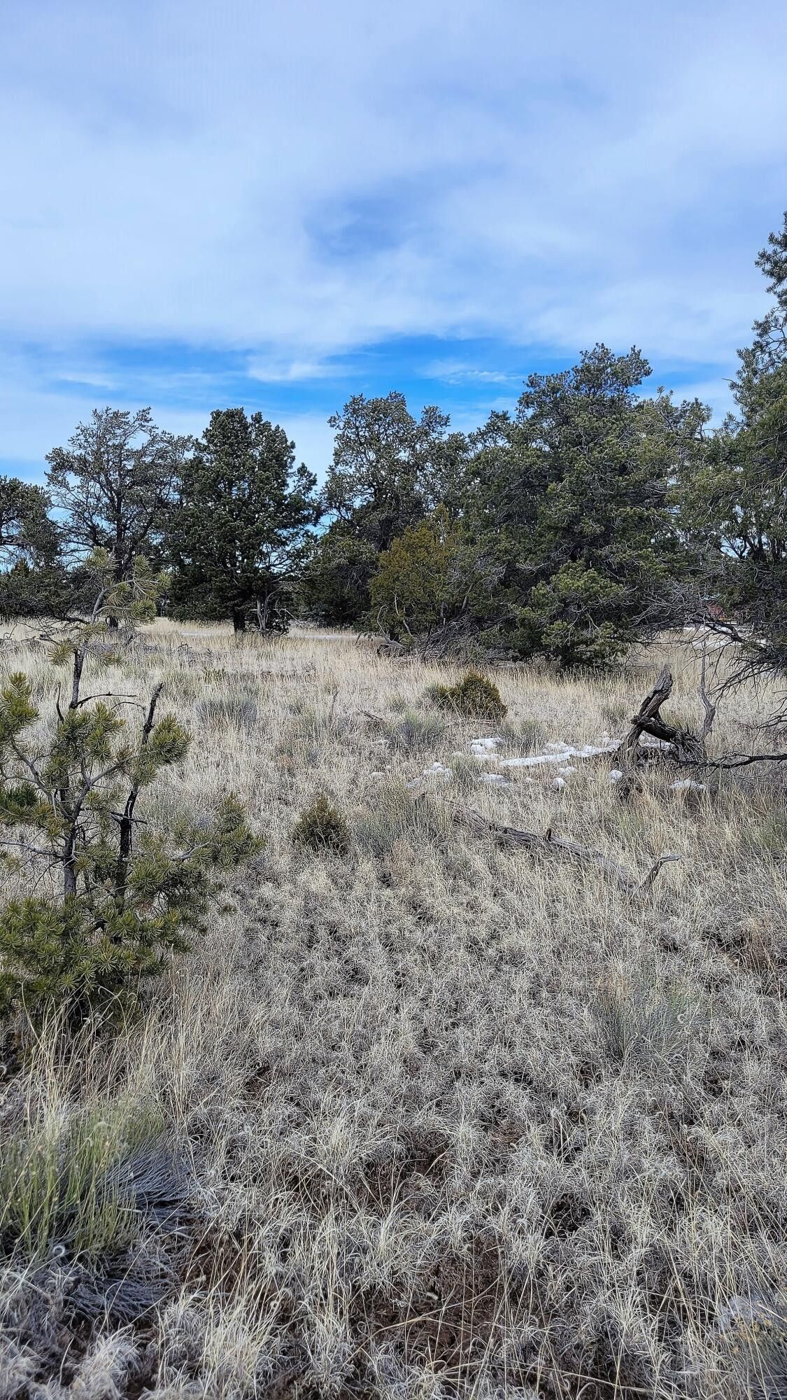 Quemado, Catron County, NM Undeveloped Land, Homesites for sale Property ID 415746803 LandWatch