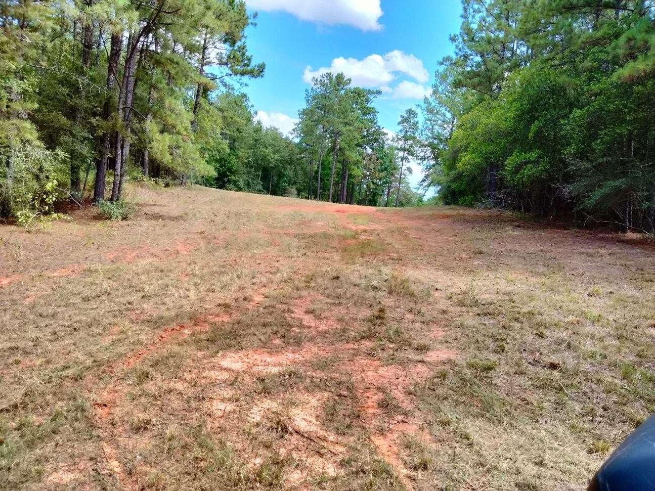 Livingston, Polk County, TX Recreational Property, Undeveloped Land
