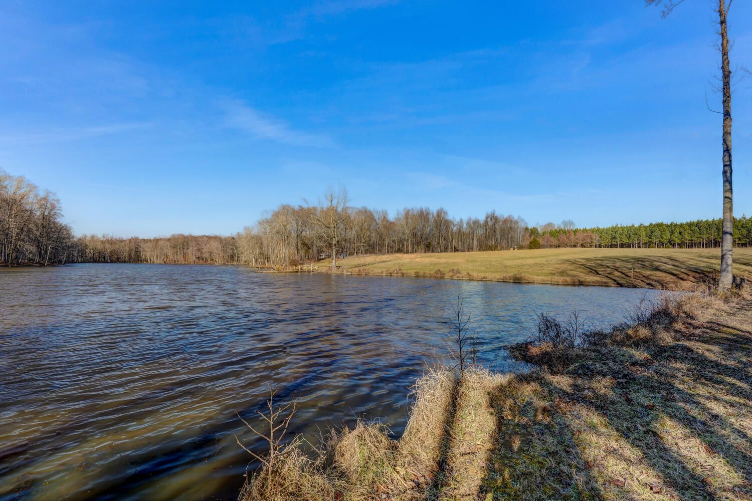 Reidsville, Caswell County, NC Undeveloped Land for sale Property ID