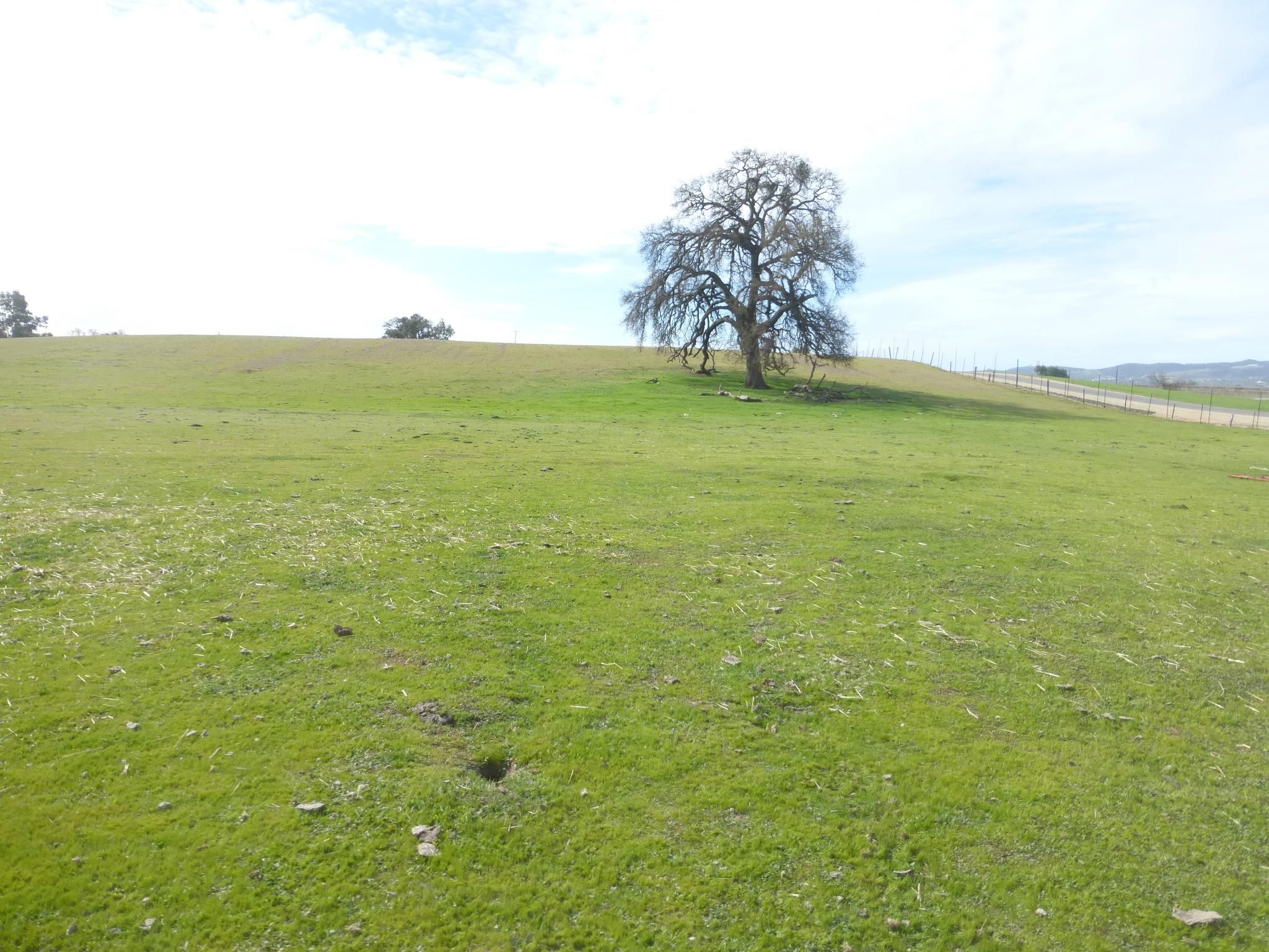 Paso Robles, San Luis Obispo County, CA Farms and Ranches, Horse Property for sale Property ID