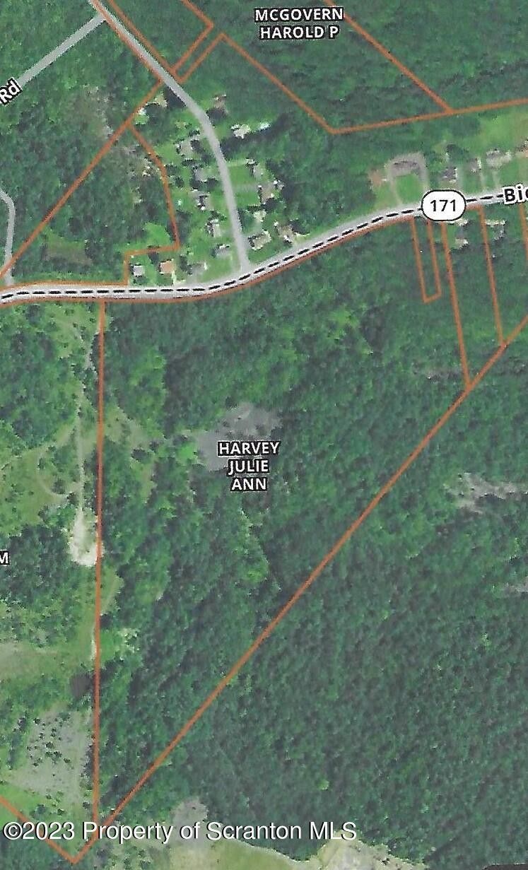 Carbondale, Lackawanna County, PA Undeveloped Land for sale Property ID 415749037 LandWatch