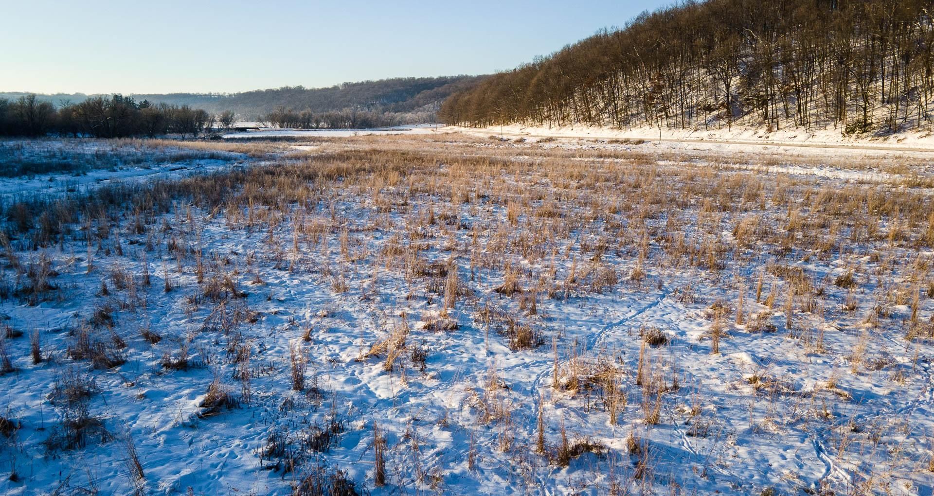 Maple Rd, Luana, IA 52156 LandWatch