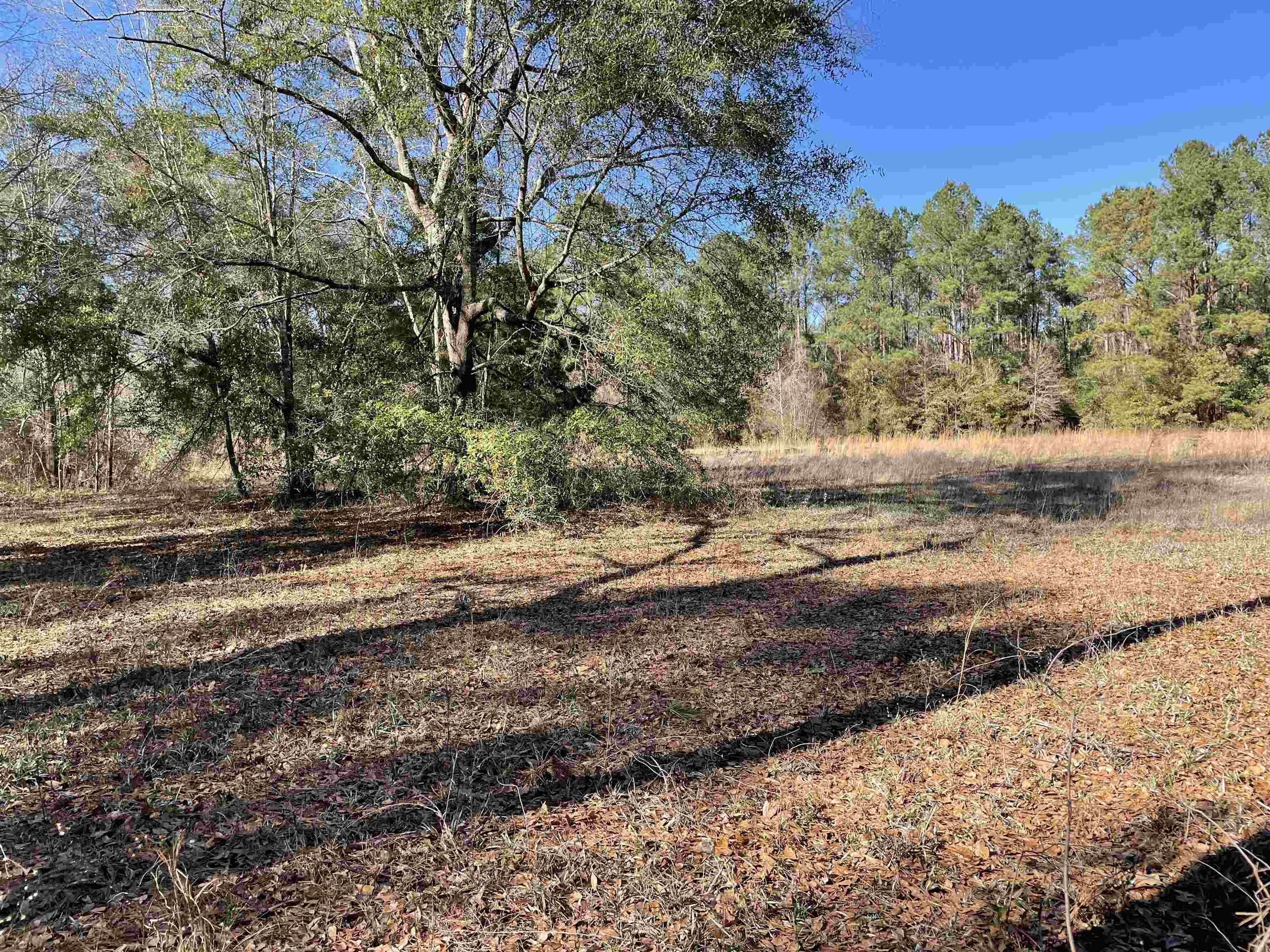 Quincy, Gadsden County, FL Farms and Ranches, Homesites for sale