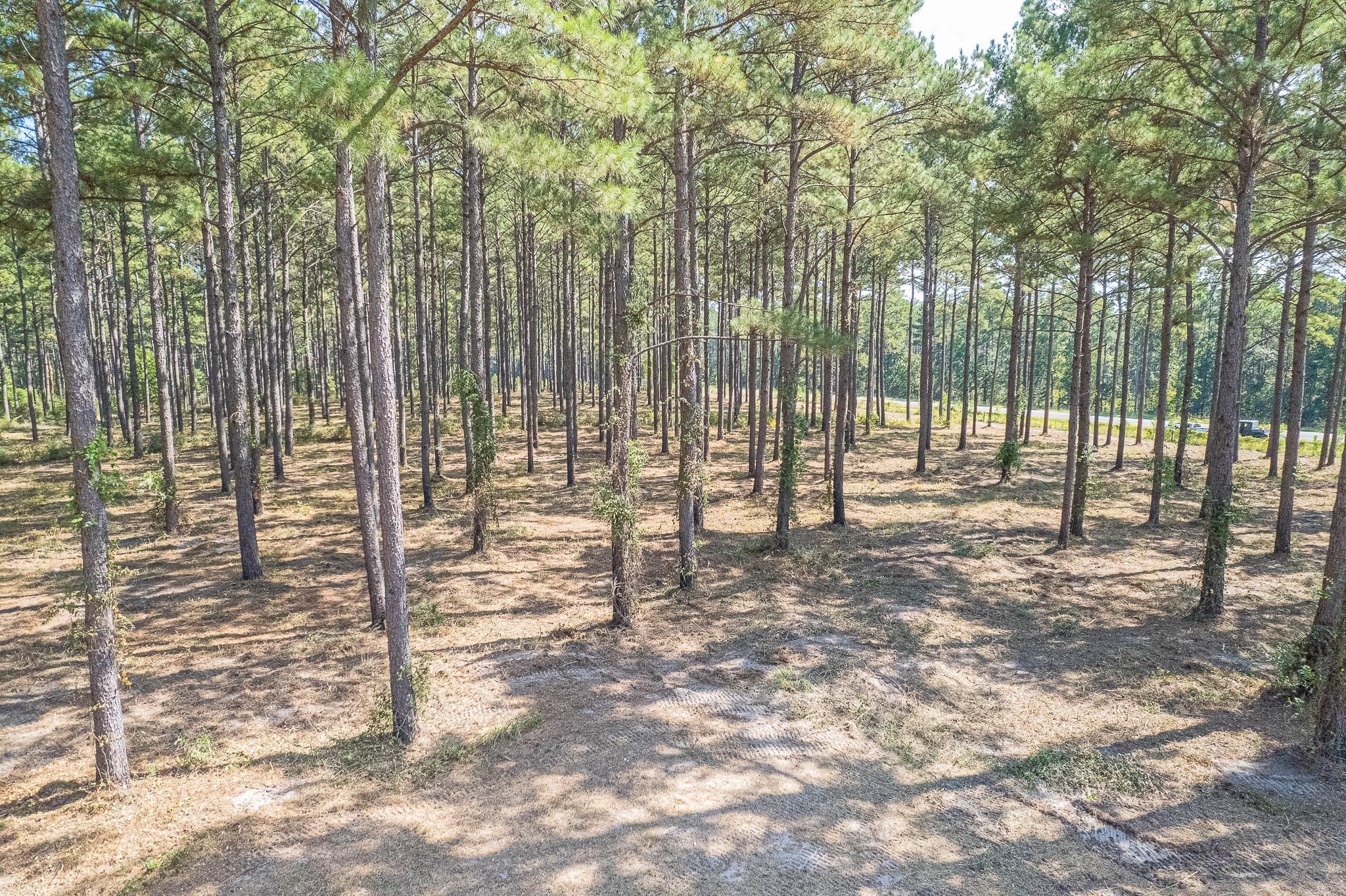 Lufkin, Angelina County, TX Recreational Property, Undeveloped Land