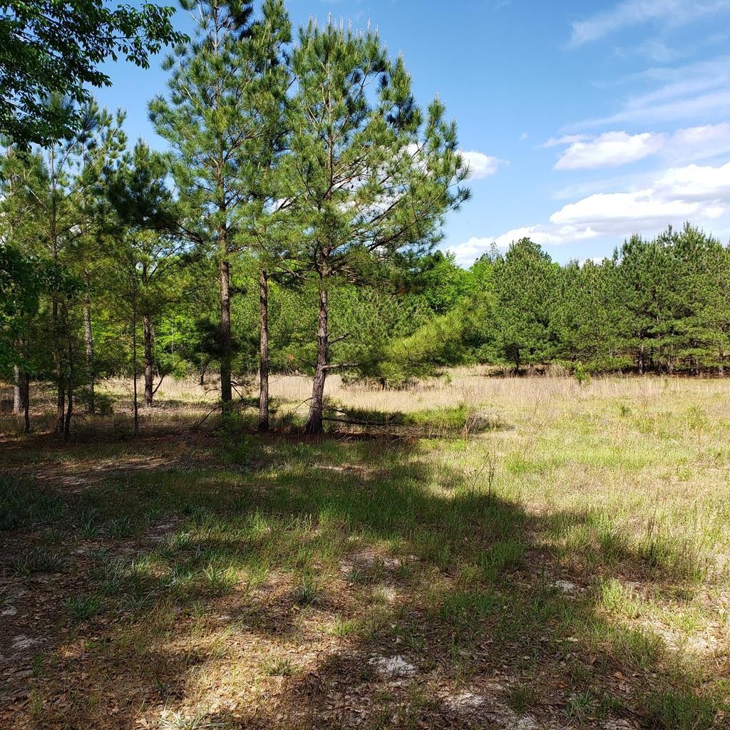 Ridge Spring, Aiken County, SC for sale Property ID 338619639 LandWatch