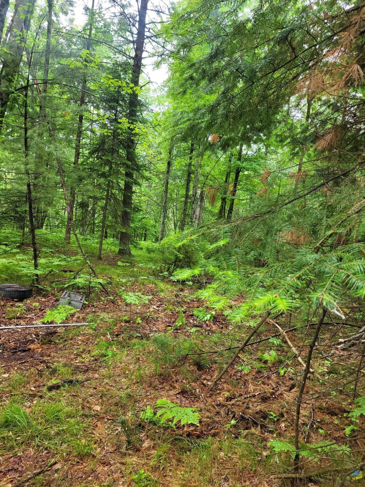 Wausaukee, County, WI Undeveloped Land, Lakefront Property