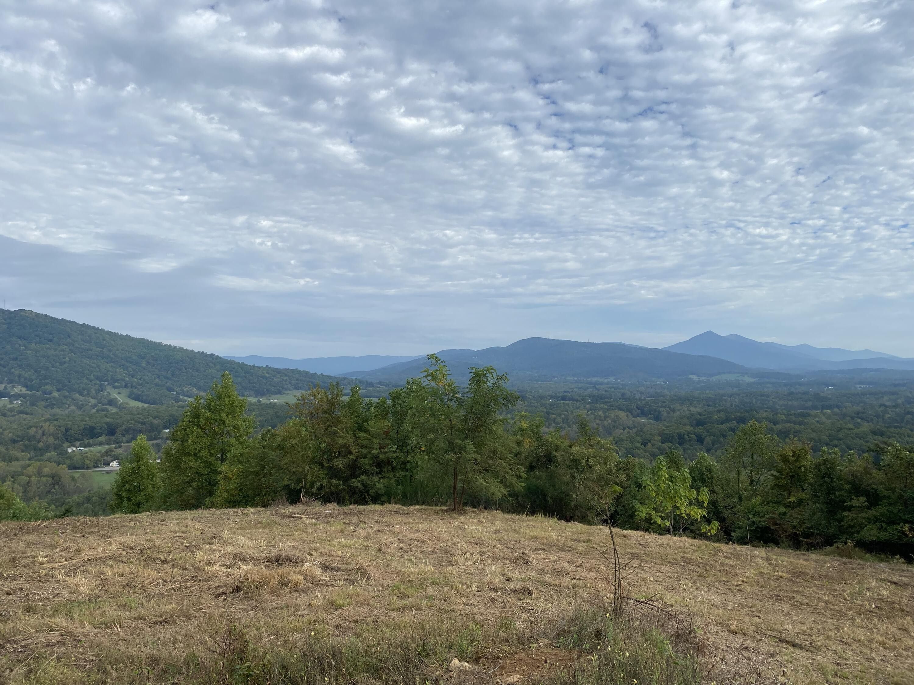 Thaxton, Bedford County, VA Undeveloped Land for sale Property ID