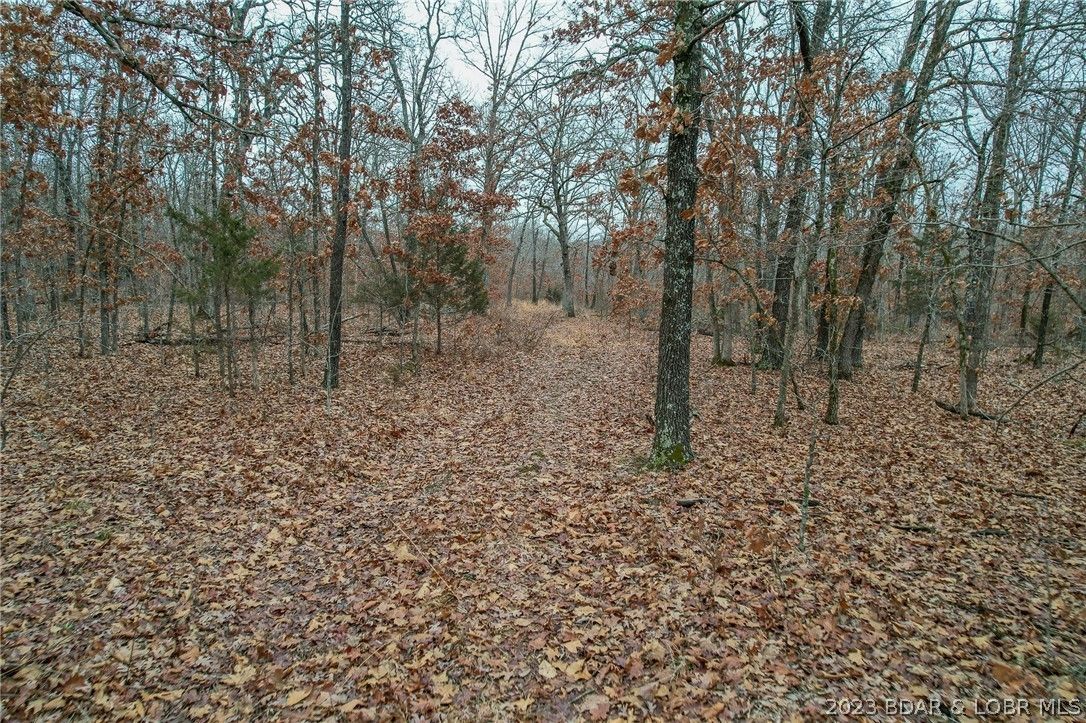 County, MO Undeveloped Land for sale Property ID