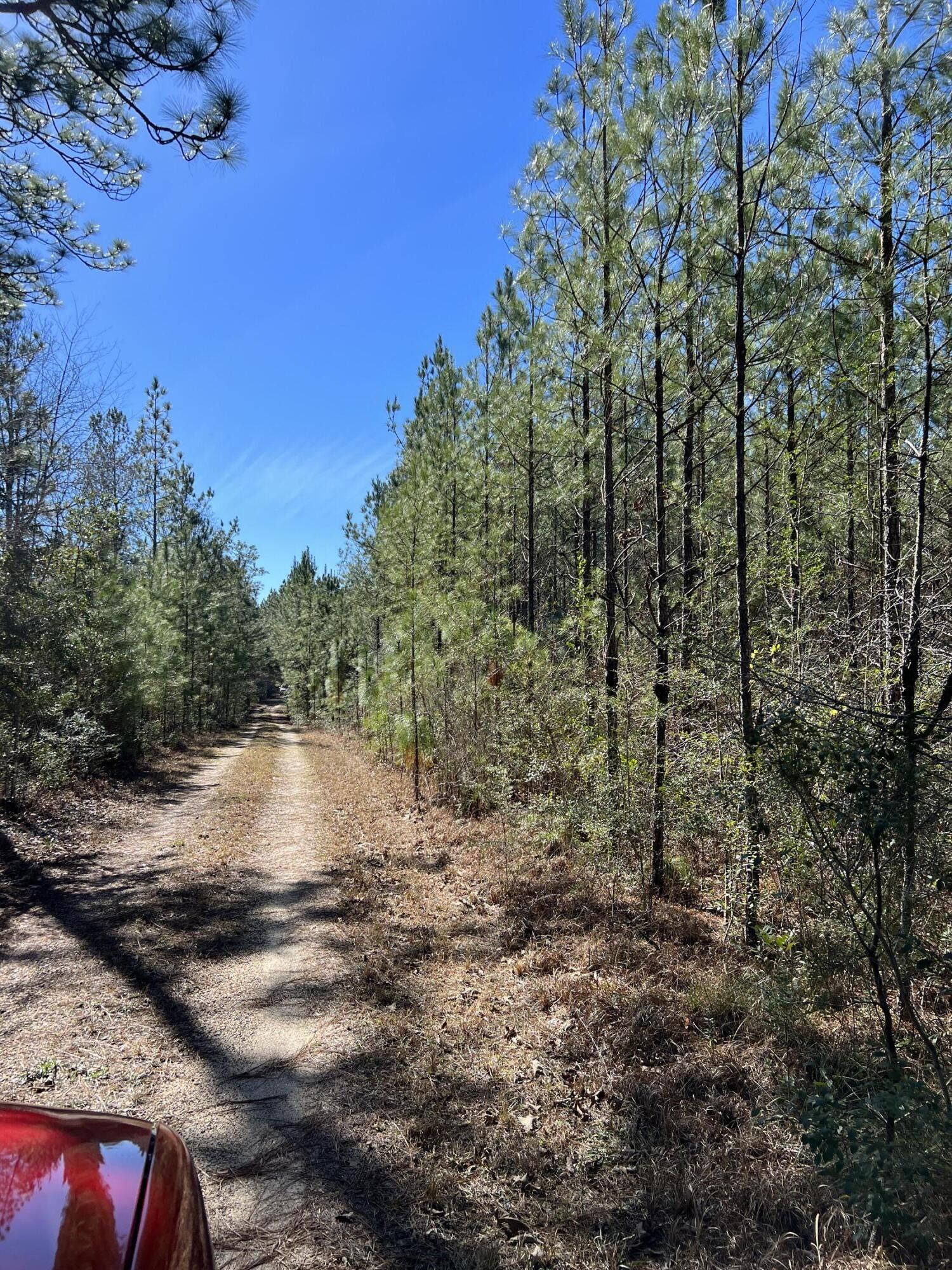 Lumberton, Forrest County, MS Farms and Ranches for sale Property ID