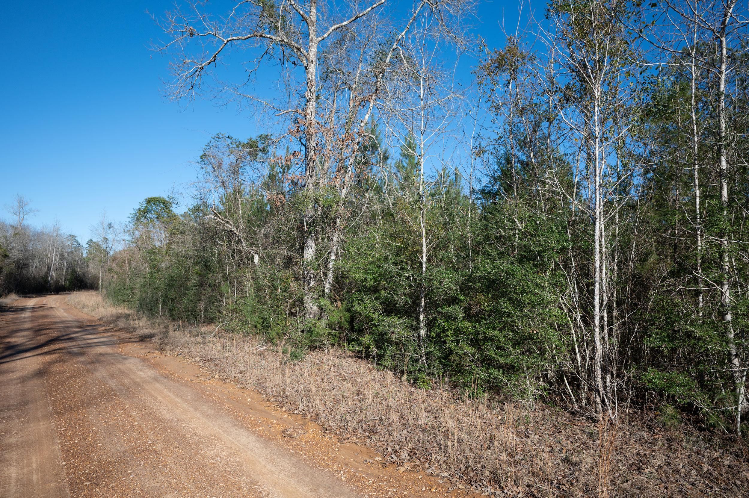 County Road 4494, Hillister, TX 77624 LandWatch