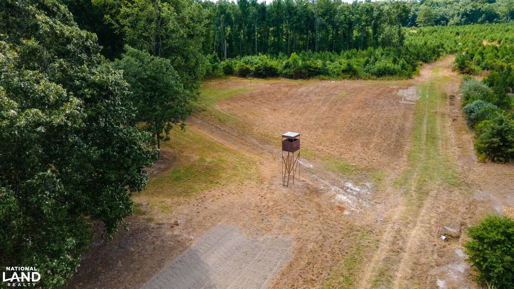 Aulander, Bertie County, NC Recreational Property, Timberland Property