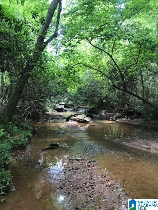 Wedowee, Randolph County, AL Undeveloped Land, Lakefront Property