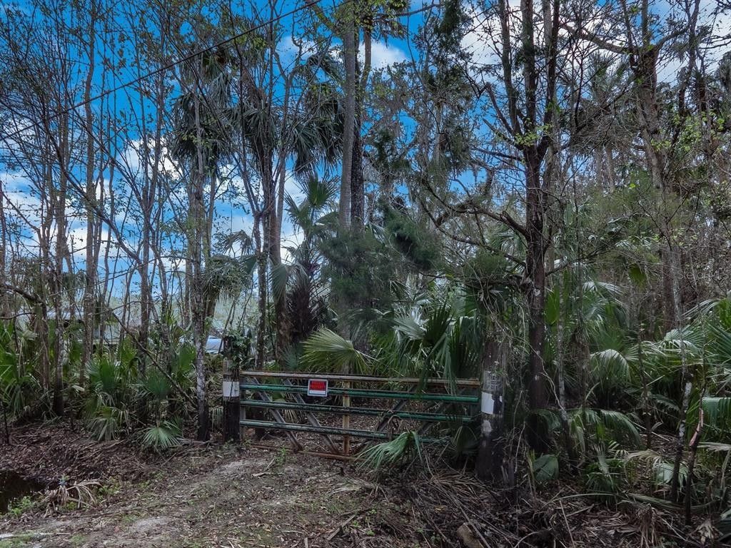 Geneva, Seminole County, FL Undeveloped Land, Homesites for sale