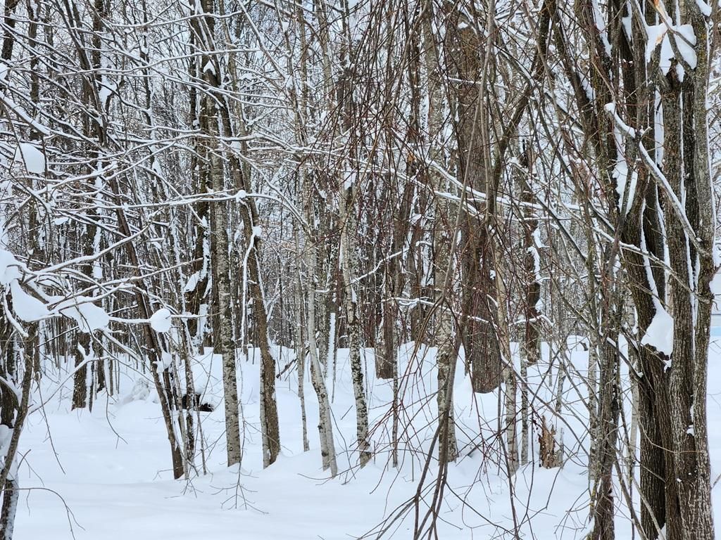 Hawkins, Rusk County, WI Recreational Property, Lakefront Property