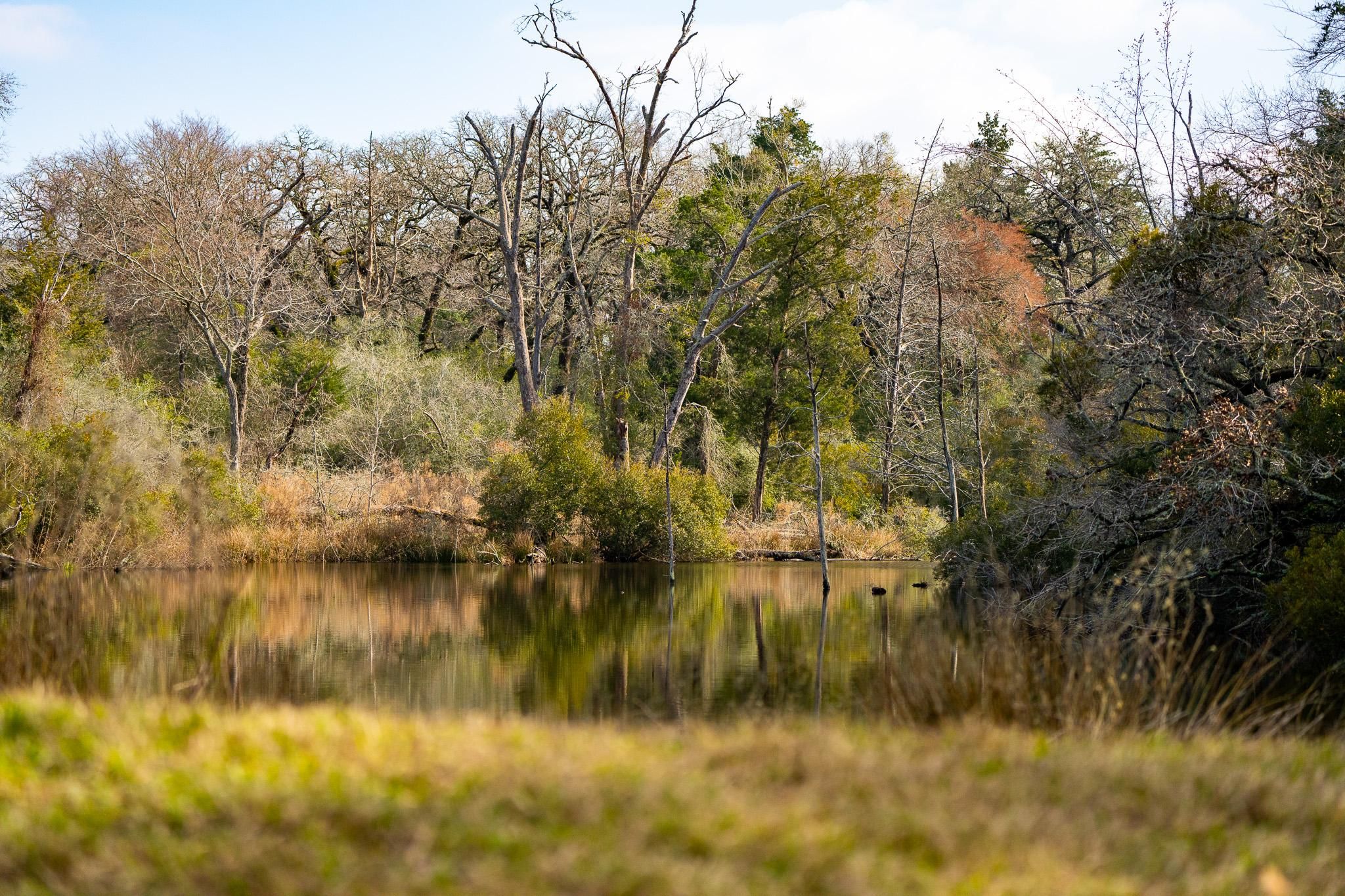 Caldwell, Burleson County, TX Farms and Ranches, Recreational Property