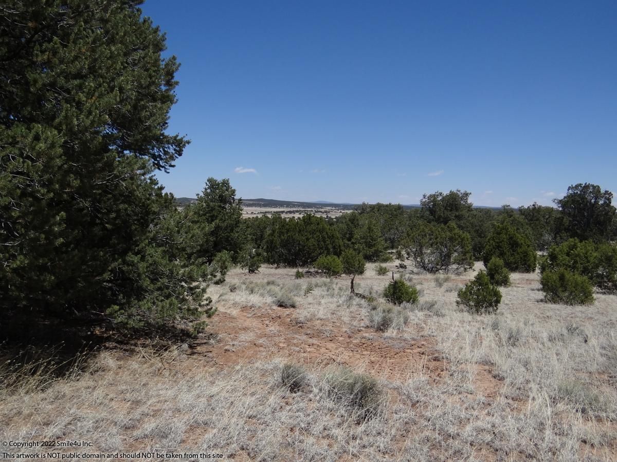 Pie Town, Catron County, NM Recreational Property, Undeveloped Land for