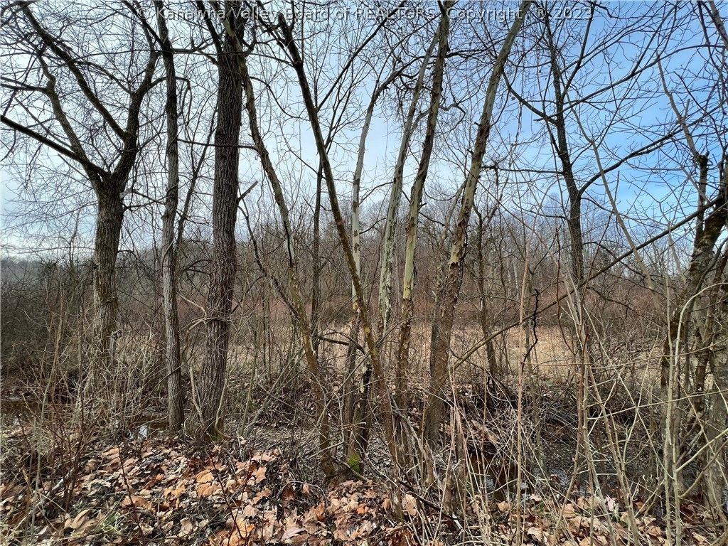 Fraziers Bottom, Putnam County, WV Undeveloped Land for sale Property