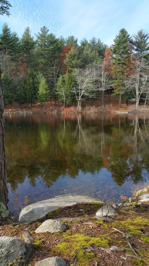 Liberty, Waldo County, ME Undeveloped Land, Lakefront Property