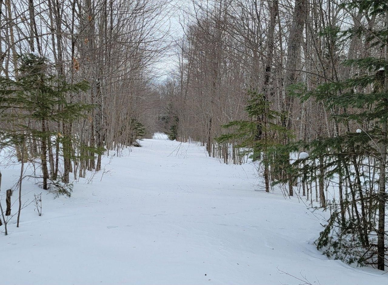 Catawba, Price County, WI Undeveloped Land for sale Property ID