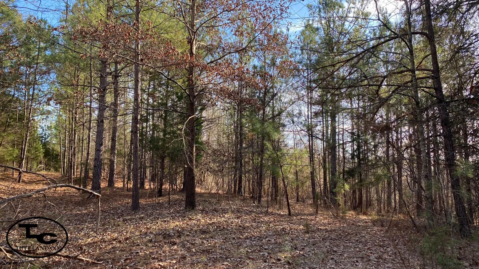 Sulligent, Lamar County, AL Recreational Property, Timberland Property