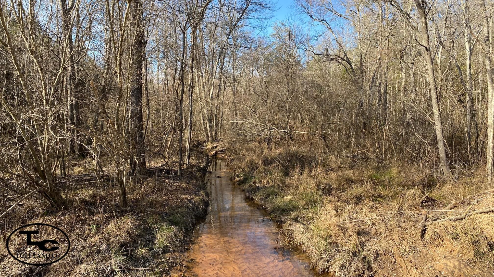 Sulligent, Lamar County, AL Recreational Property, Hunting Property for