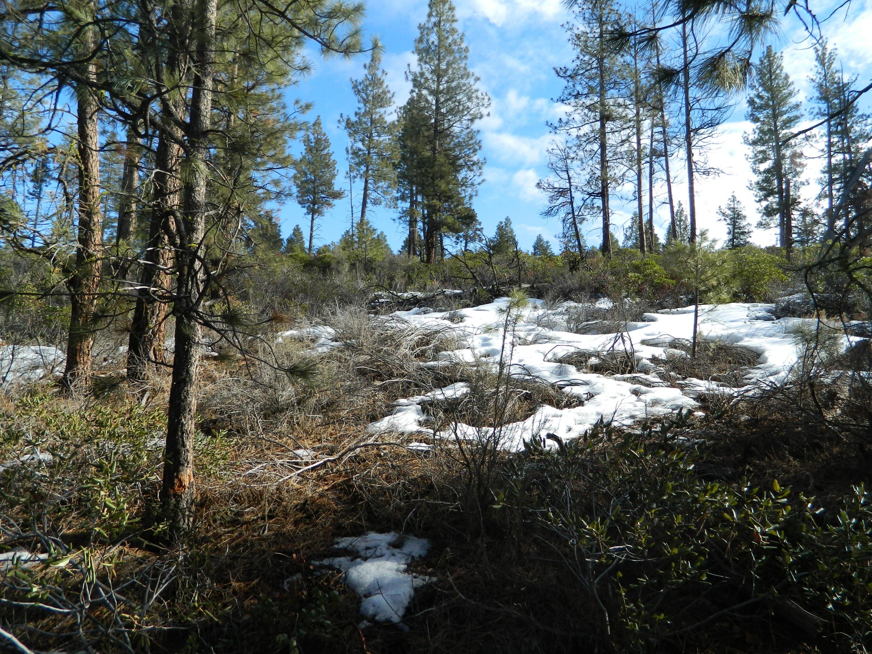 Sprague River, Klamath County, OR Undeveloped Land for sale Property ID