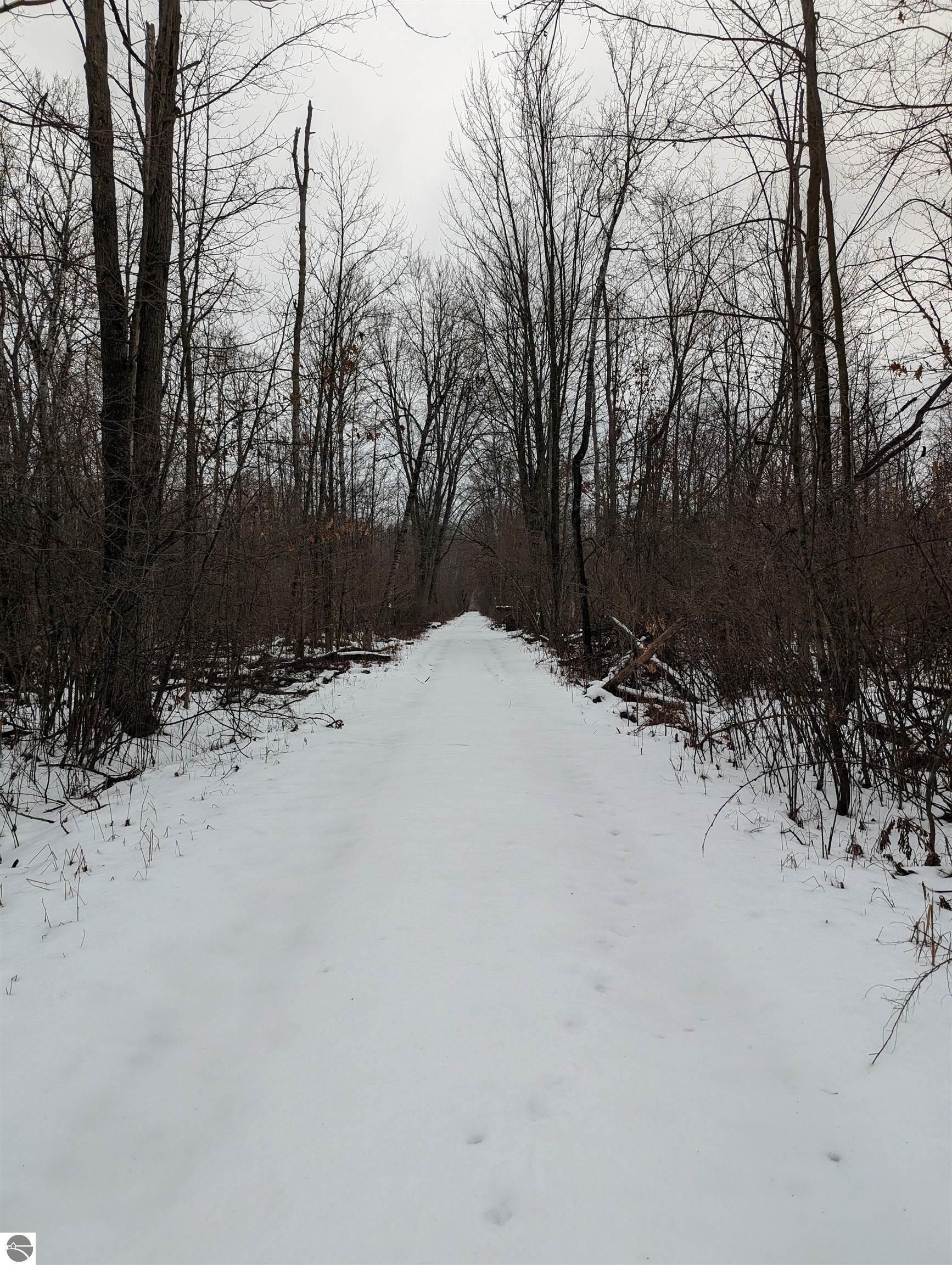 Omer, Arenac County, MI Undeveloped Land, Lakefront Property