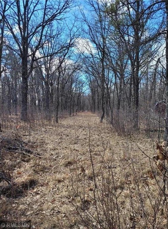 Baxter, Crow Wing County, MN Farms and Ranches for sale Property ID