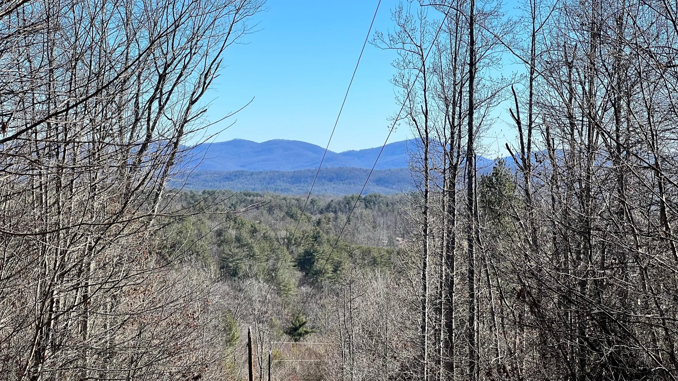Purlear, Wilkes County, NC Undeveloped Land, Hunting Property for sale