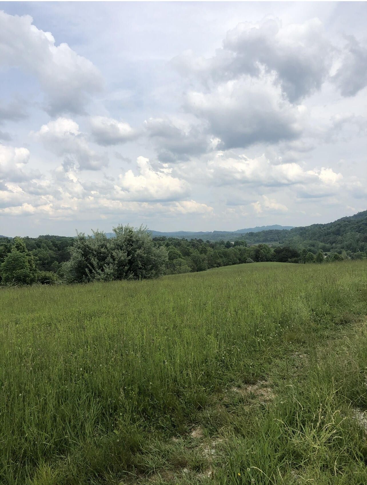Corbin, Whitley County, KY Farms and Ranches for sale Property ID