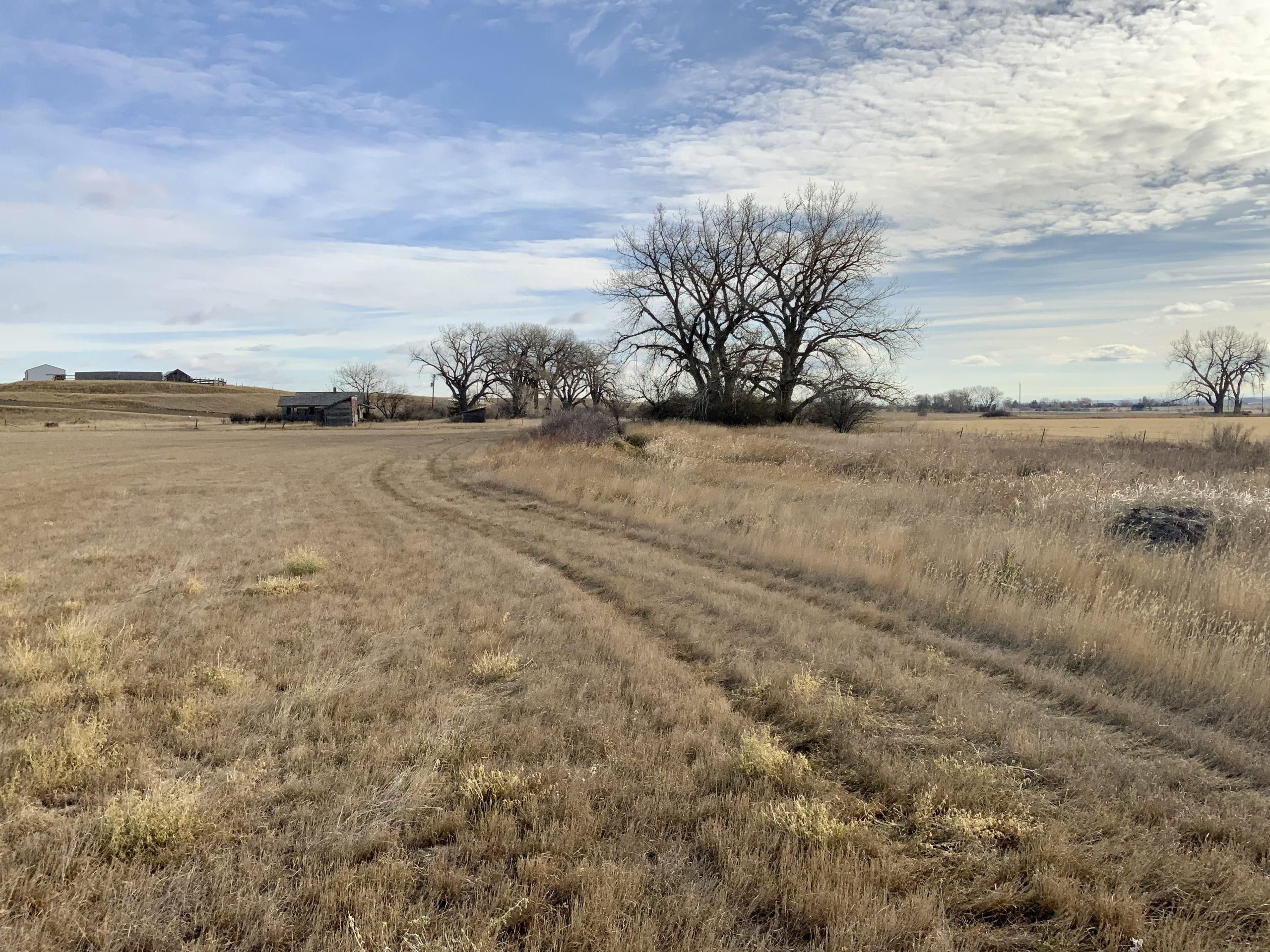 Wisehart Rd, Caputa, SD 57725 MLS Harrington Ranch Old Homesite