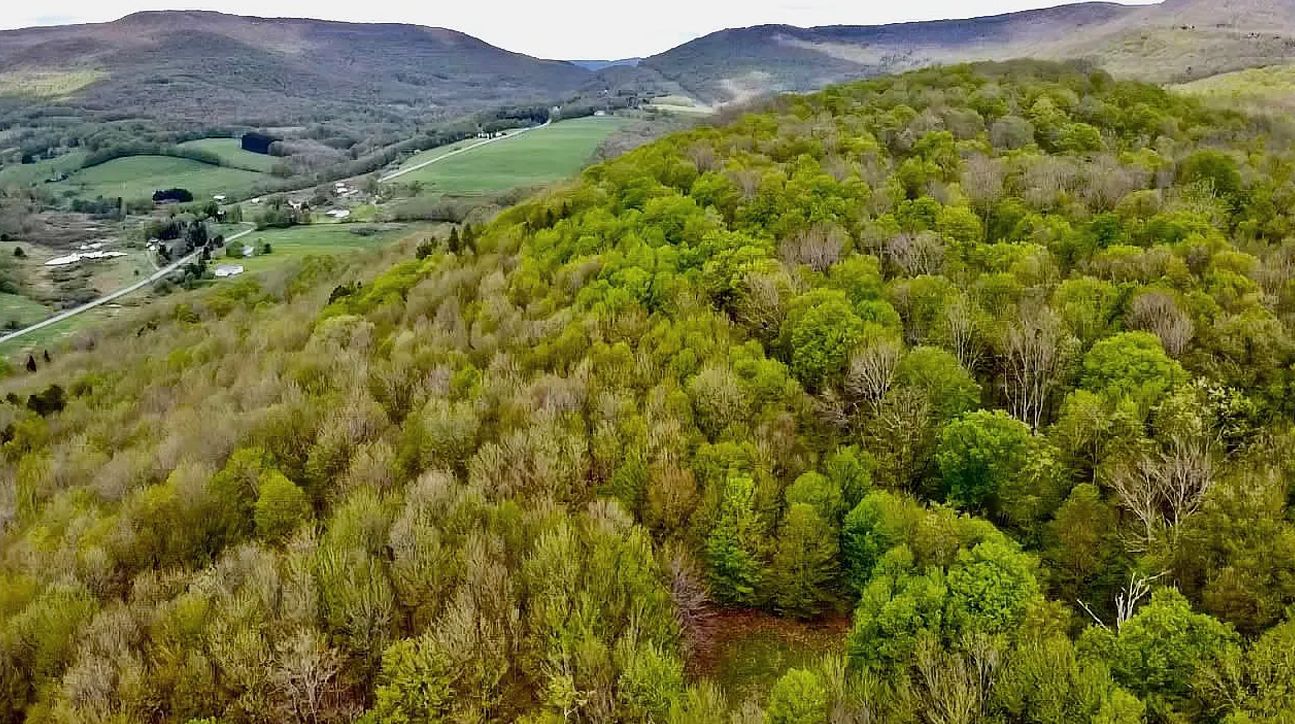 Hobart, Delaware County, NY Recreational Property, Undeveloped Land