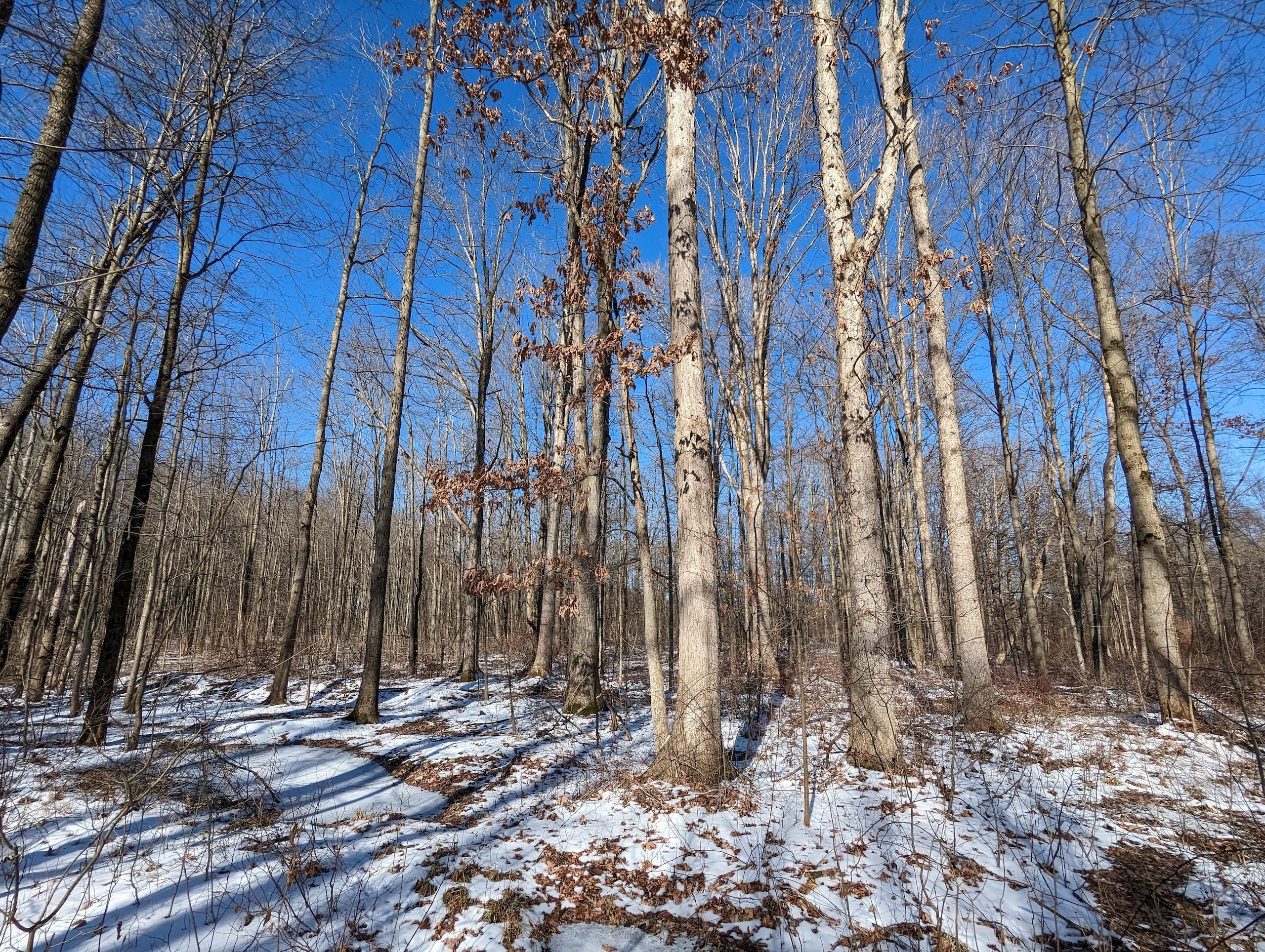 Dorset, Ashtabula County, OH Recreational Property, Timberland Property