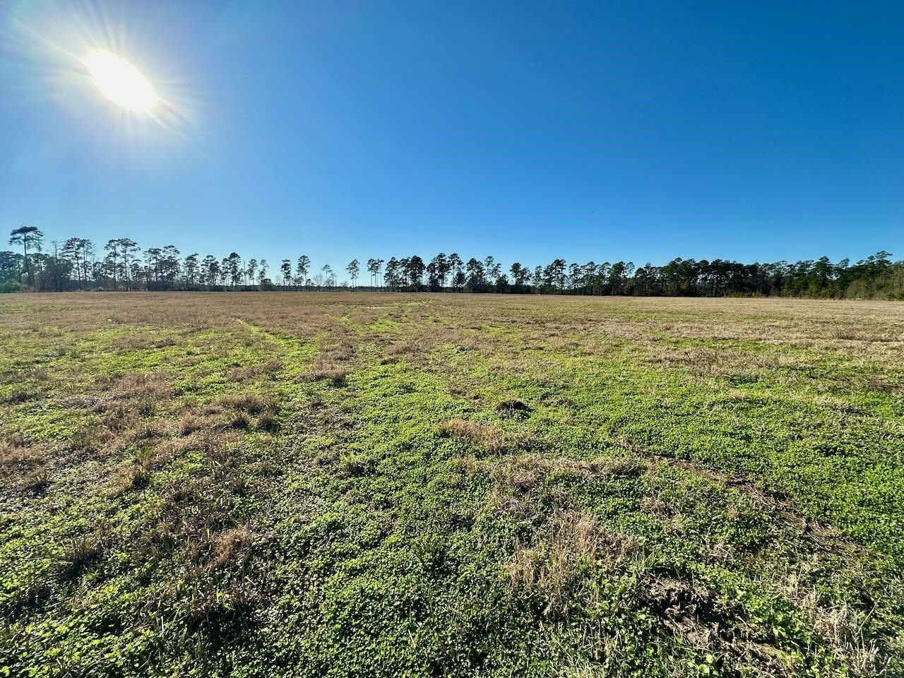 Kountze, Hardin County, TX Undeveloped Land for sale Property ID