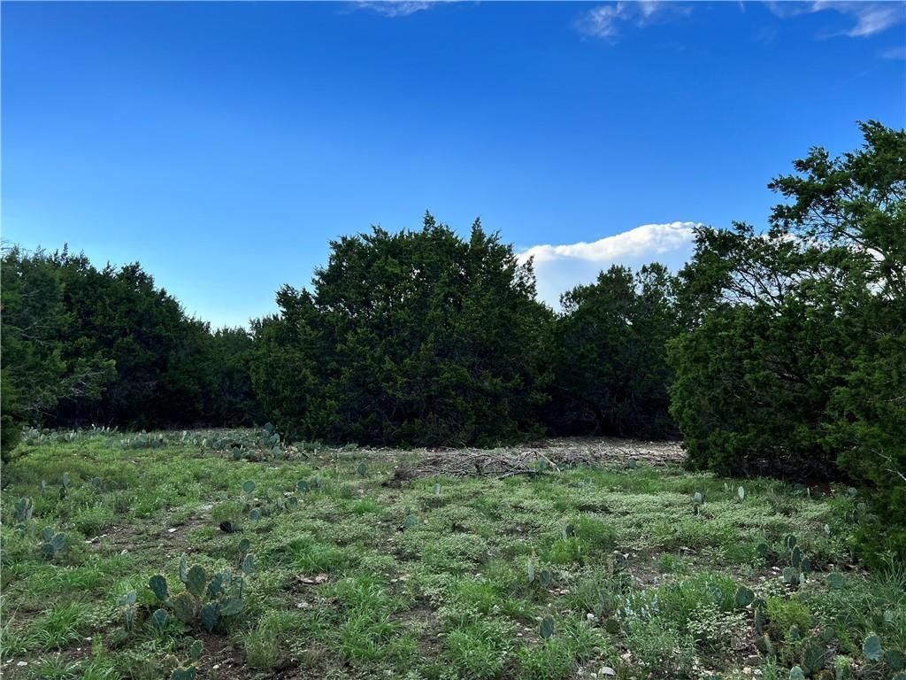 County, TX Farms and Ranches, Horse Property, Homesites