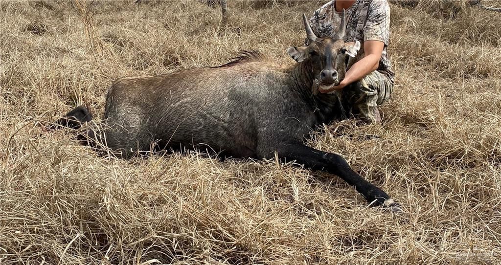 Linn, Hidalgo County, TX Farms and Ranches, Recreational Property