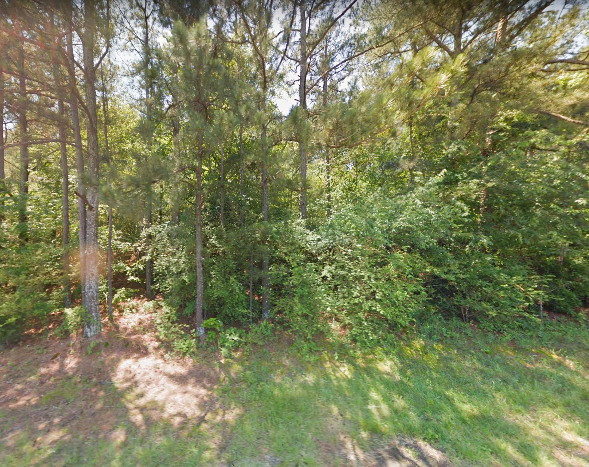Albertville, Marshall County, AL Recreational Property, Undeveloped