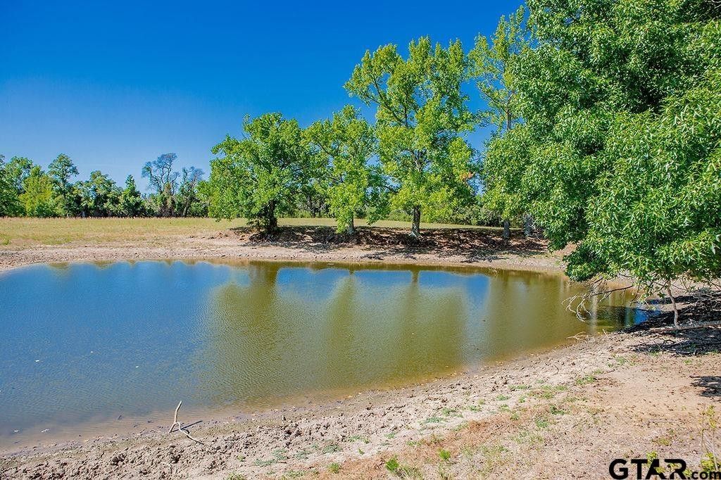 Quitman, Wood County, TX Undeveloped Land for sale Property ID